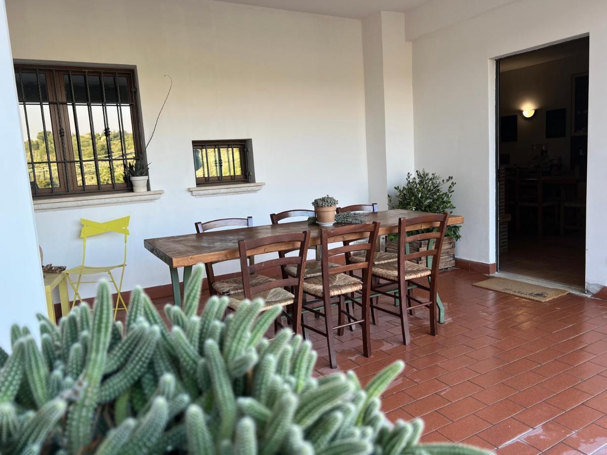 La Casa Di Demetra. Un Paradiso Tra Gli Olivi. Montecchio  Eksteriør bilde
